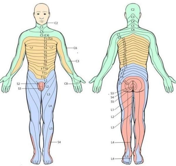 Shingles (Herpes Zoster) - Maxum Health